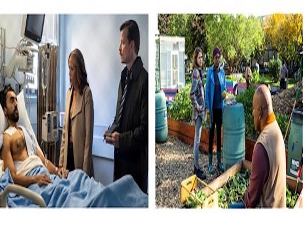 'East New York' Stars Ruben Santiago-Hudson and Elizabeth Rodriguez on Full-Season Order and Transition from Broadway to Television (Exclusive)