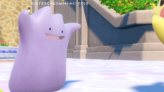 Como encontrar Ditto e Zorua em Pokémon Scarlet & Violet