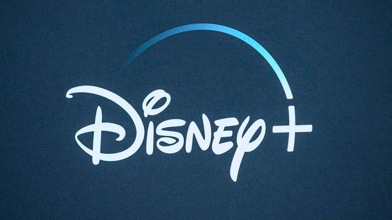 Canceled Netflix Show Gets Clean Makeover for Disney+, Says Star