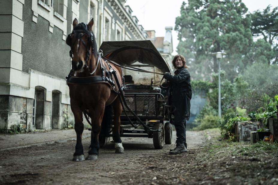 daryl-dixon.jpg daryl-dixon.jpg
