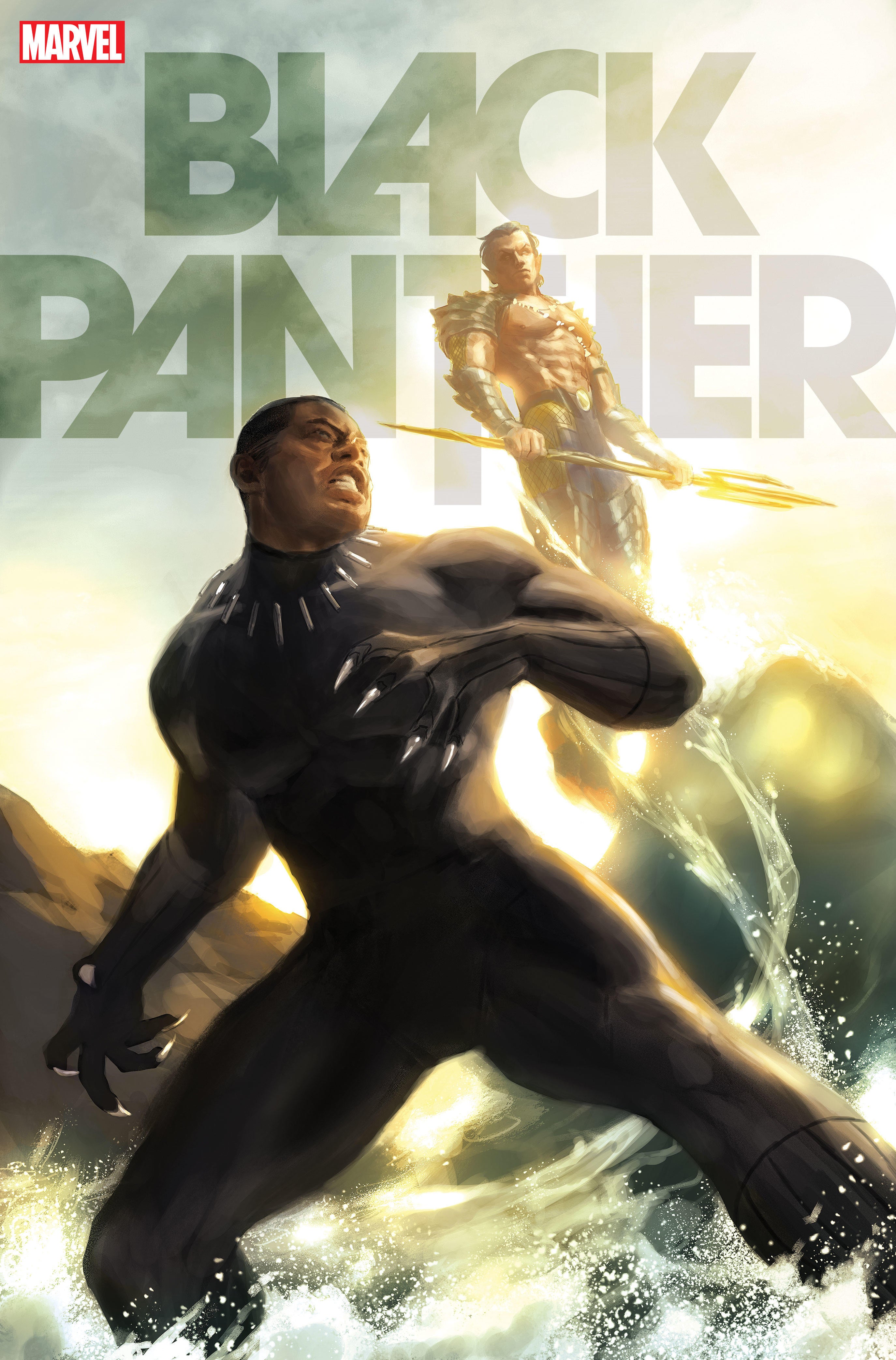 Black Panther and Namor Team Up to Battle The Avengers