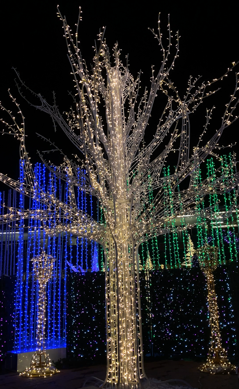 Enchant Nashville Looks to Turn Your Christmas Light Experience Into a Hallmark Movie