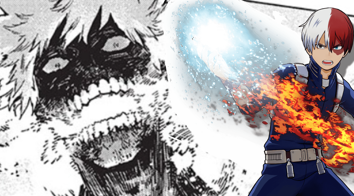 My Hero Academia Explains The Surprising Fallout Of Shoto, 41% OFF