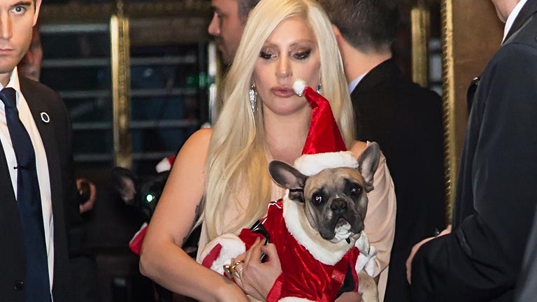 Lady Gaga Dognapping Shooter Sentenced to More Than 2 Decades in Prison