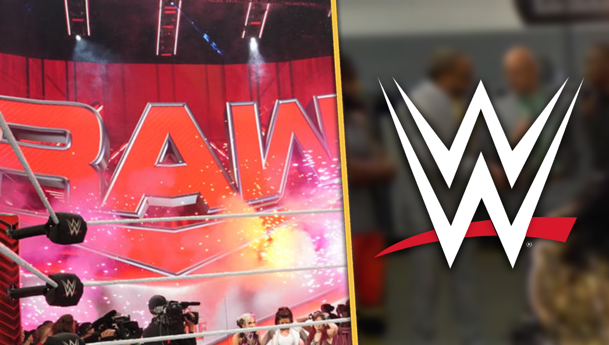 WWE MONDAY NIGHT RAW HURT BUSINESS