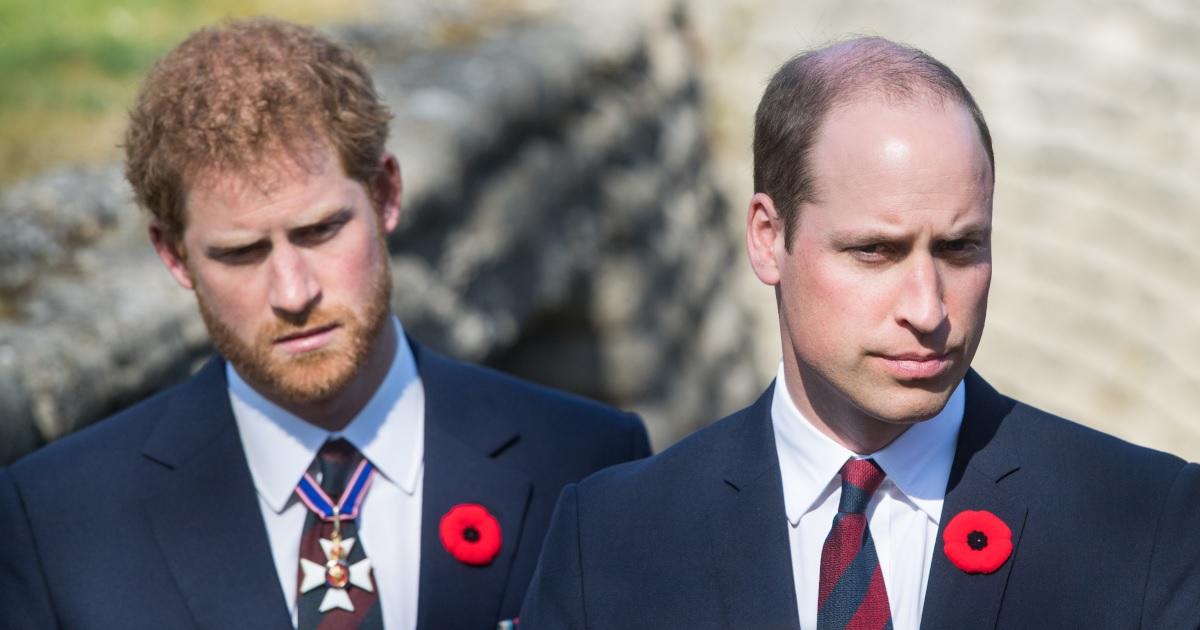 Prince Harry And Prince William Reunite In Honor Of Late Mother