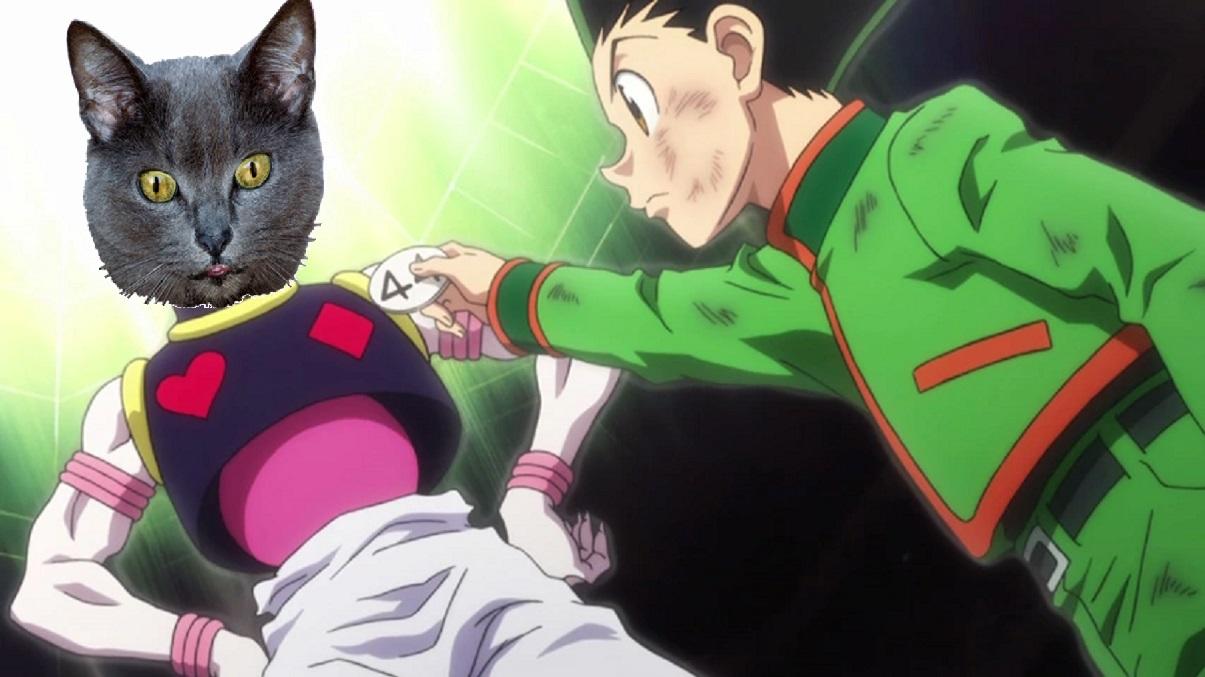 Hunter x Hunter Gets Cute Makeover With This Viral Cat Cosplay