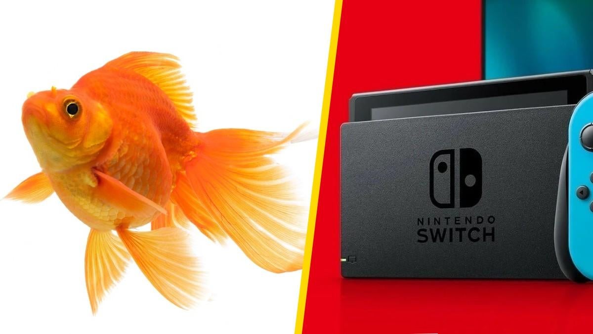 In Japan, pet fish playing Nintendo Switch run up bill on owner's credit  card, News