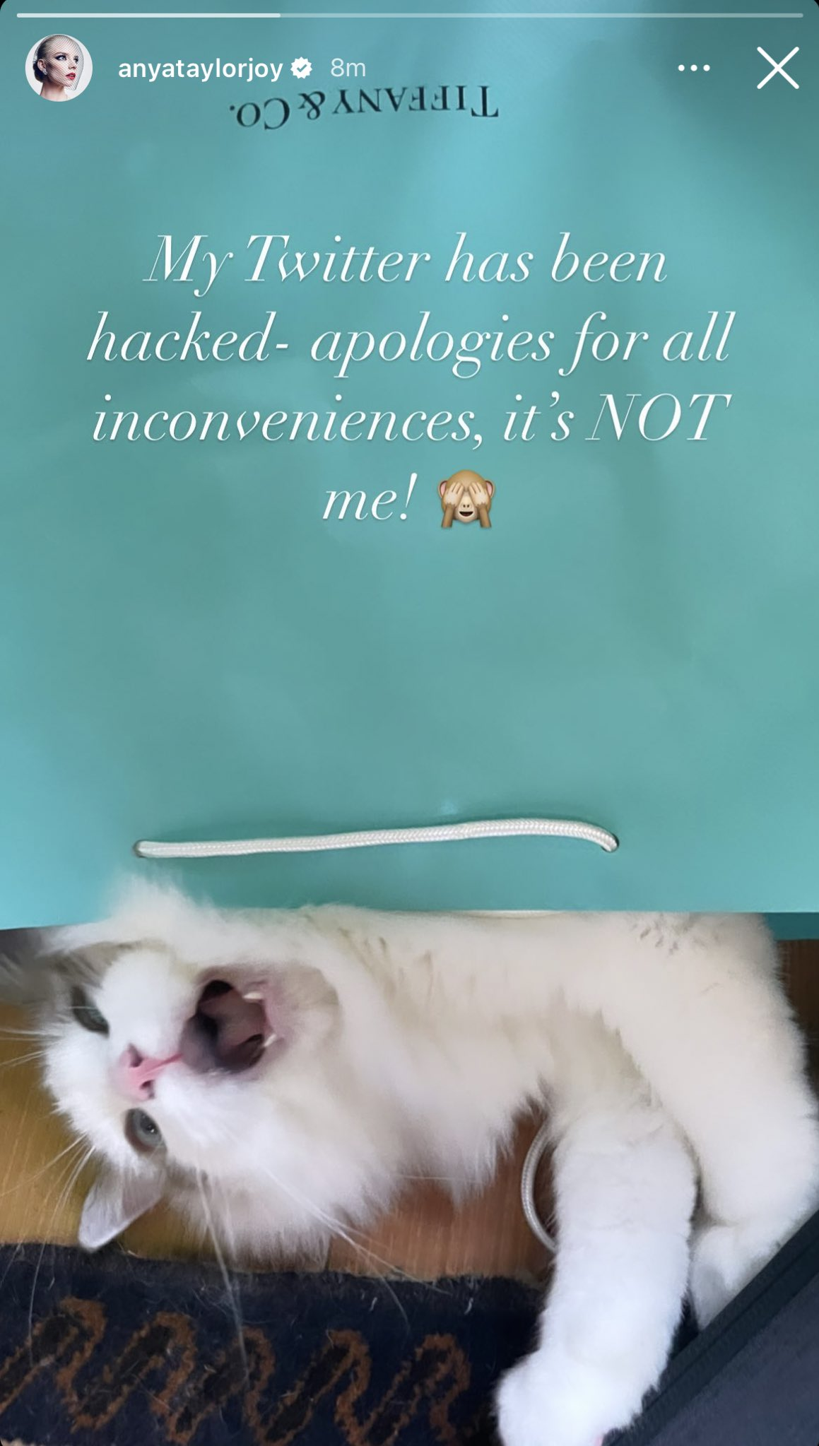 Anya Taylor Joy Twitter Account Hacked; Posted Tweet Teasing 'The
