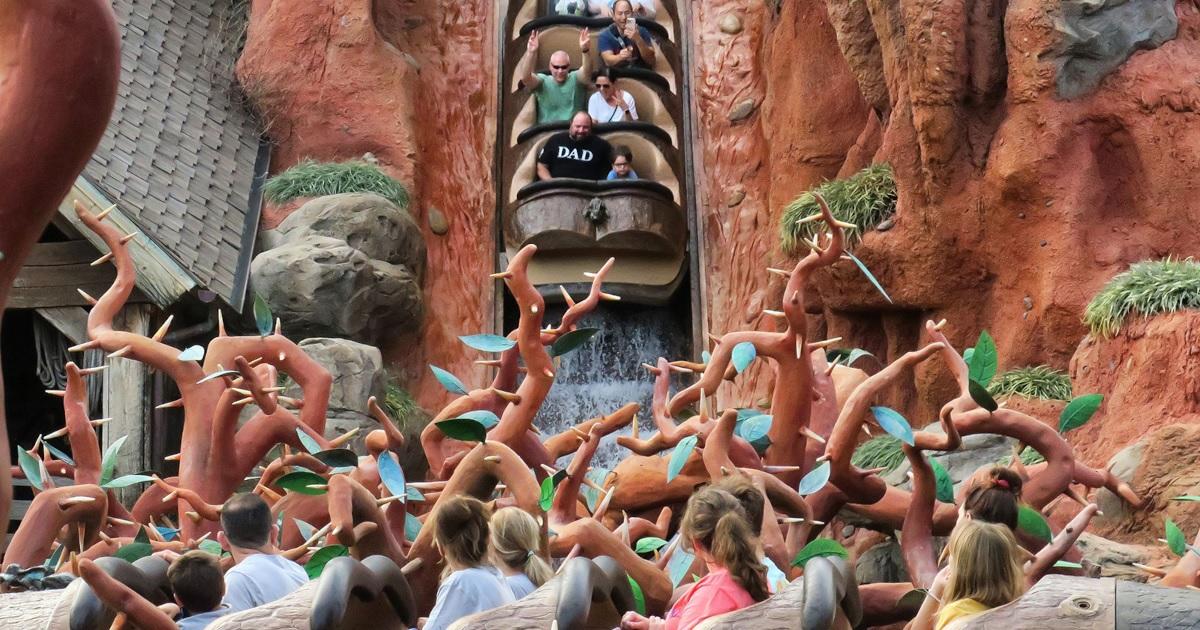 Disneyland Rider Seemingly Jumps out of Splash Mountain Boat Mid-Ride