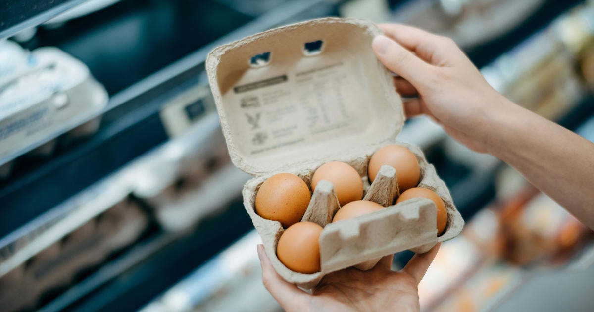 Eggs Recalled Over Salmonella Risk