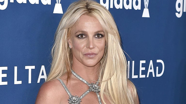 Britney Spears' Dog Allegedly Gets Loose and Bites Elderly Man