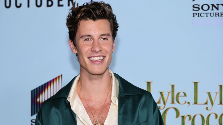 Shawn Mendes Sparks Romance Rumor With Fellow Pop Star