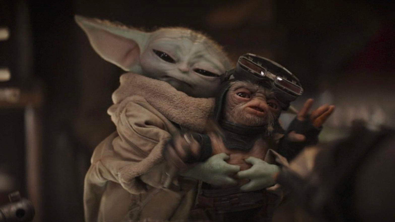 The Mandalorian, What species is Baby Yoda?