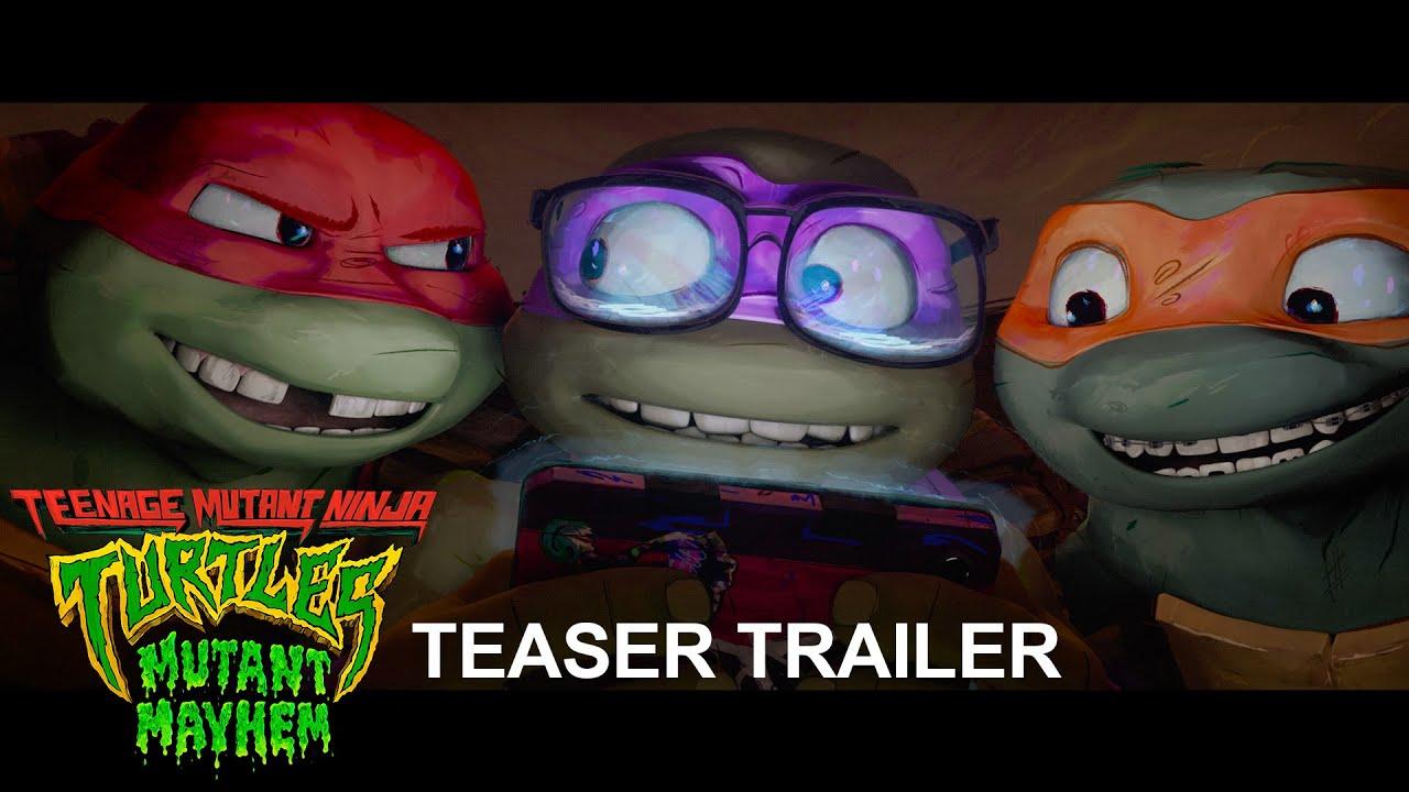 Producer Seth Rogen Announces Animated 'Teenage Mutant Ninja