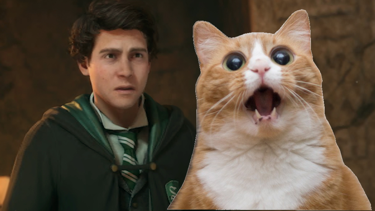Hogwarts Legacy Player Warns of Disturbing Reason Not to Pet Cats