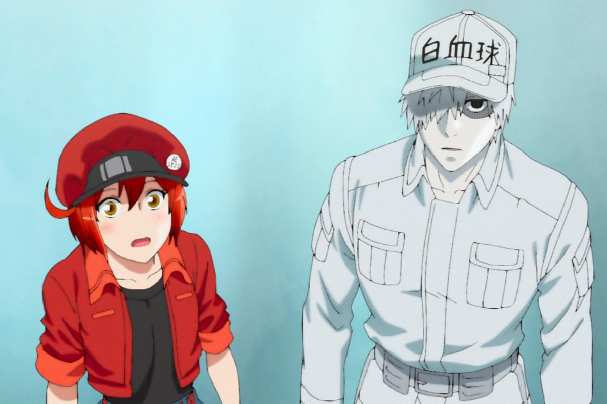 Season 2 release date confirmed, Hataraku Saibou / Cells at Work!