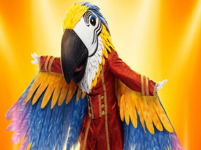 'The Masked Singer': Macaw Unmasked as an 'American Idol' Fan-Favorite