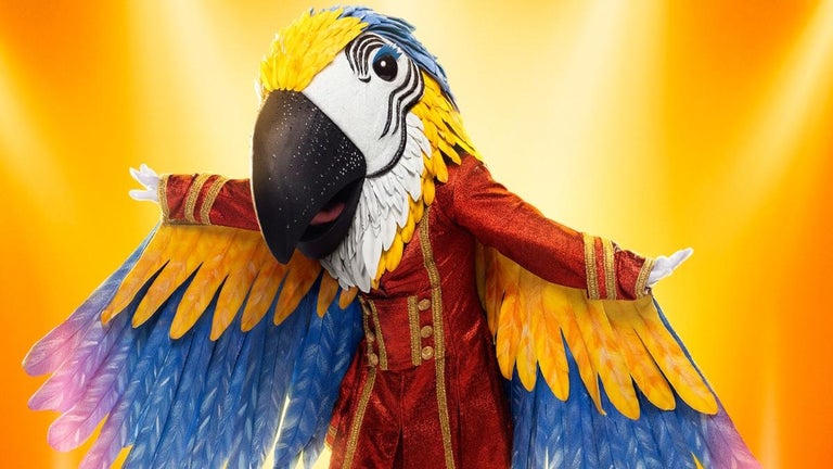 'The Masked Singer': Who Is Macaw?