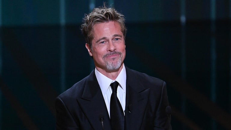 Brad Pitt Accused of 'Looting' Vineyard He Owned With Angelina Jolie