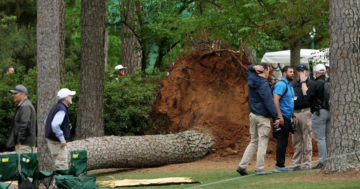 2023-masters-tree-falls-during-play-augusta-national