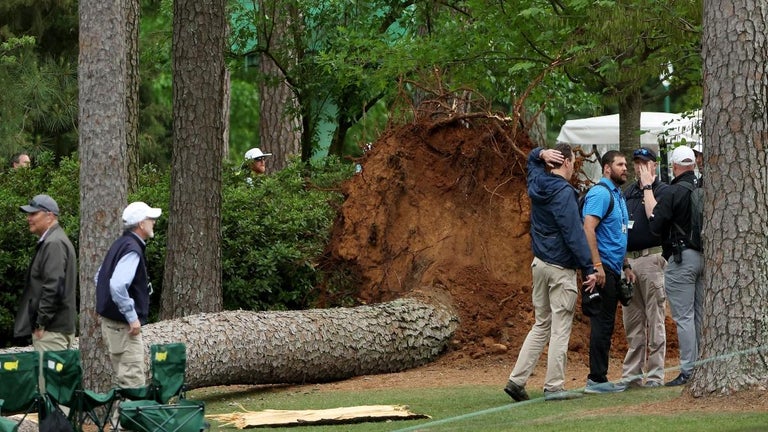 2023 Masters: Trees Fall During Play at Augusta National