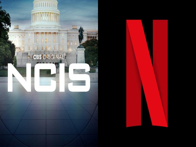 'NCIS' Alum Has Role in Netflix's New No. 1 Show