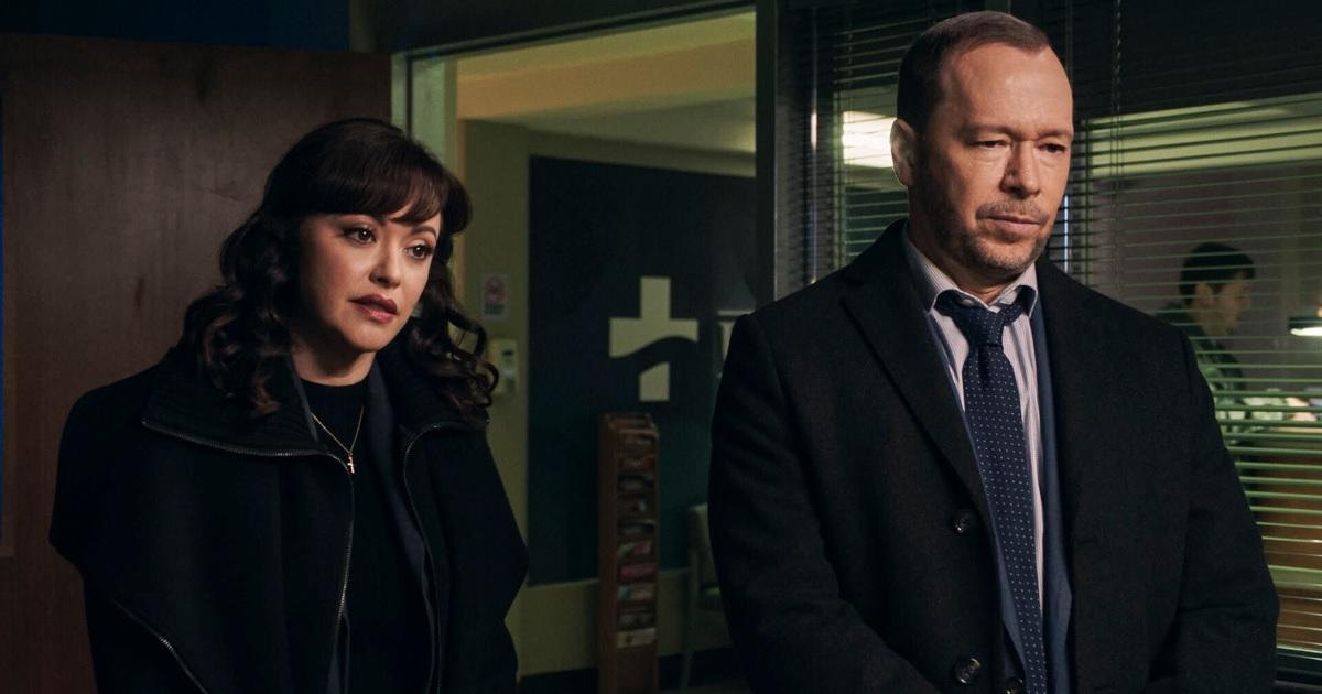 'Blue Bloods' Season 13 Finale Details Revealed