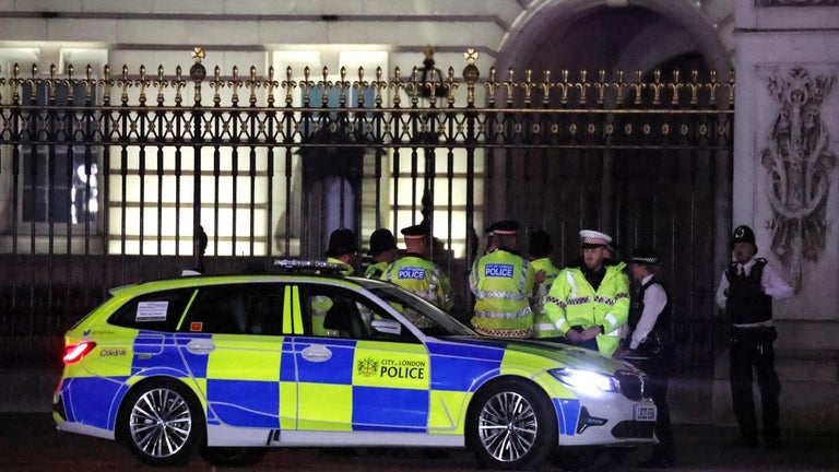 'Suspicious Bag' Destroyed in Controlled Explosion Outside Buckingham Palace, Man Arrested