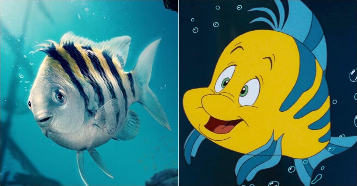 The Little Mermaid's Jacob Tremblay Responds to Flounder Memes, Design