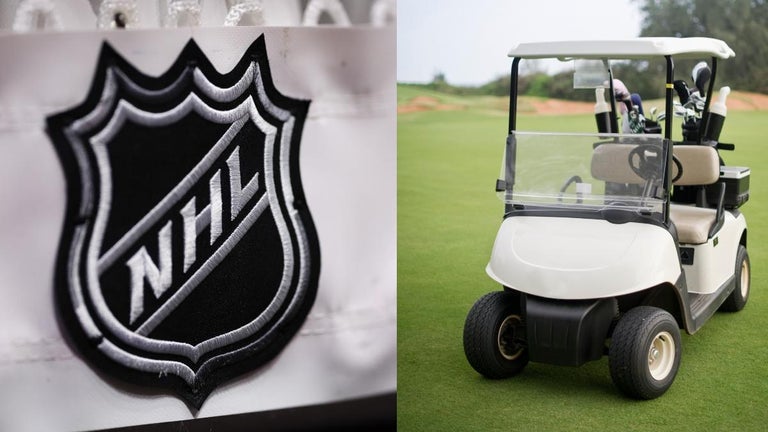 Video of NHL Coach's Golf Cart DUI Arrest Released