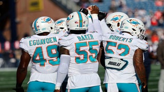 dolphins 49