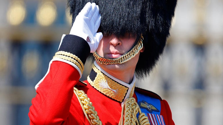 British Guards Faint in Heat as Prince William Views Military Parade