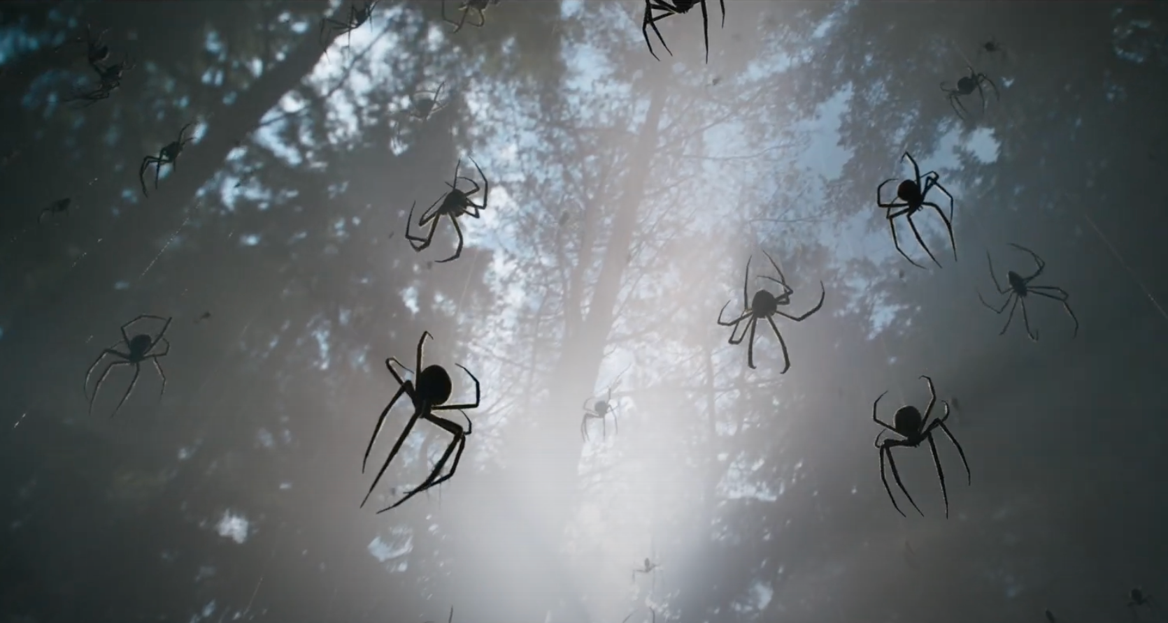 kraven-the-hunter-spider-man-connection