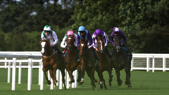 horse-racing-usatsi-generic.jpg