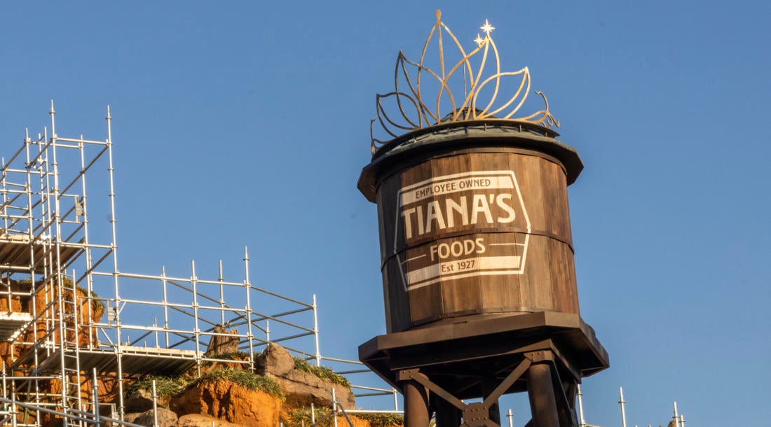 Walt Disney World Unveils Tiana's Water Tower During Splash Mountain Revamp
