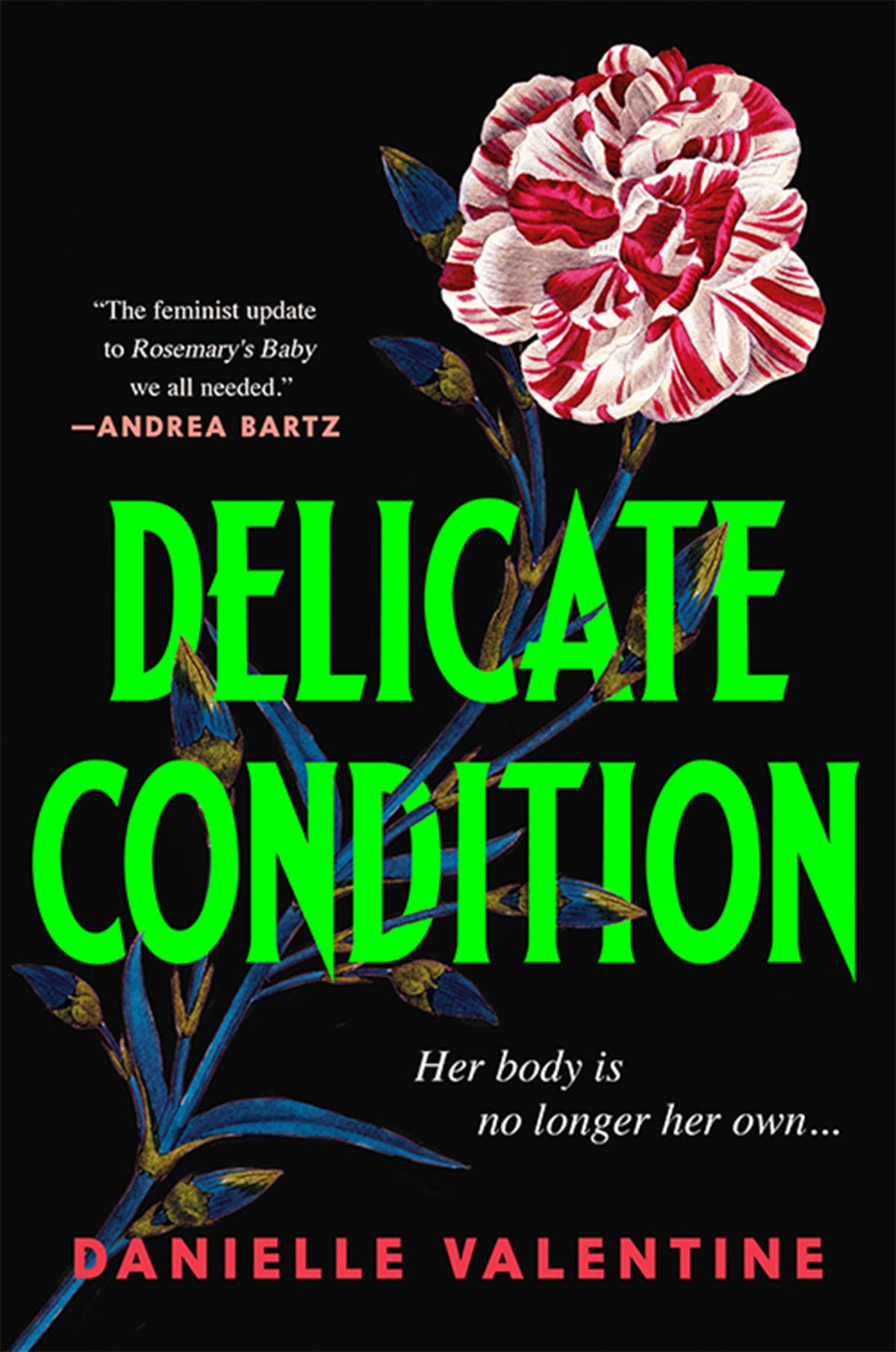 delicate-condition-book-cover-art.jpg