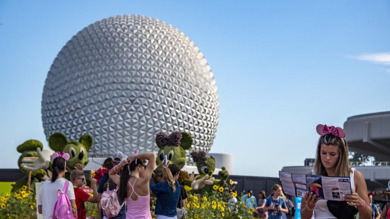 Walt Disney World Guest Sues Over Alleged Injury During Ride Evacuation