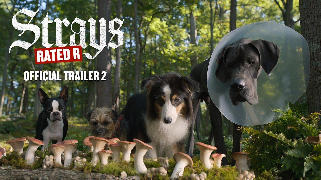 strays-movie-trailer