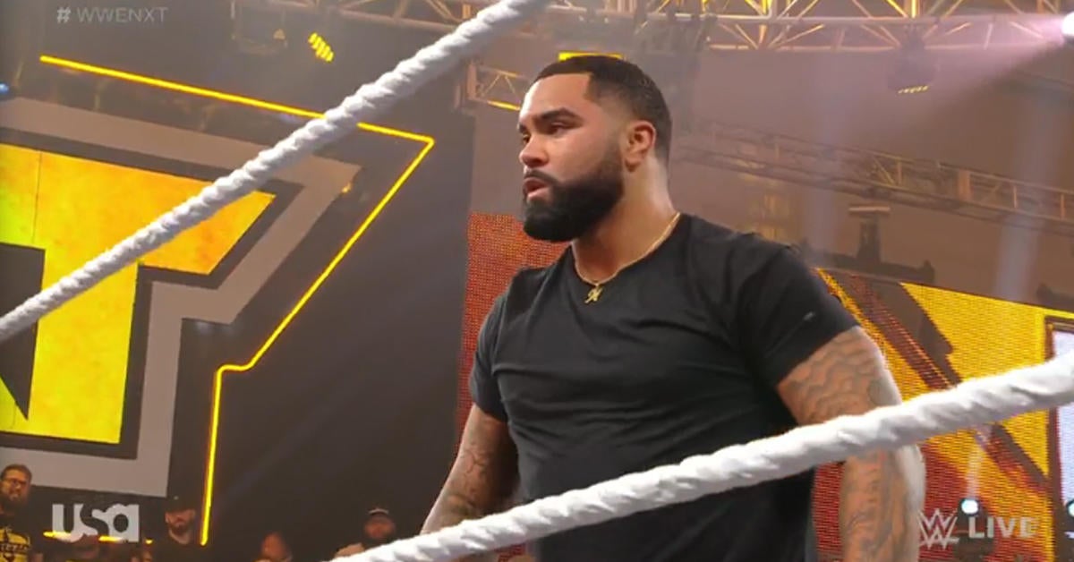 Gable Steveson Reveals His Wrestling Future on WWE NXT