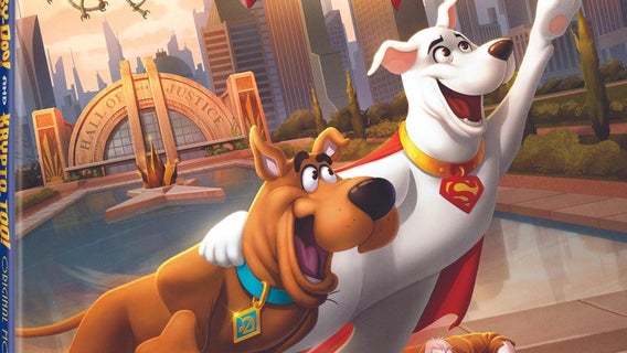 scooby-doo-and-krypto-too-dvd-box-art1