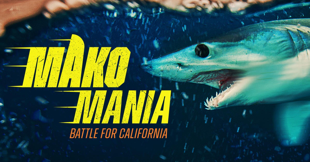 mako-mania-battle-for-california.jpg