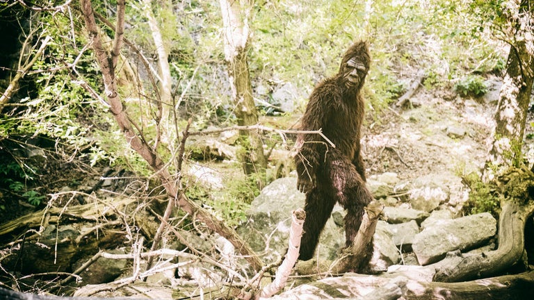 Photo of Alleged Bigfoot and Baby Sasquatch Surfaces Online