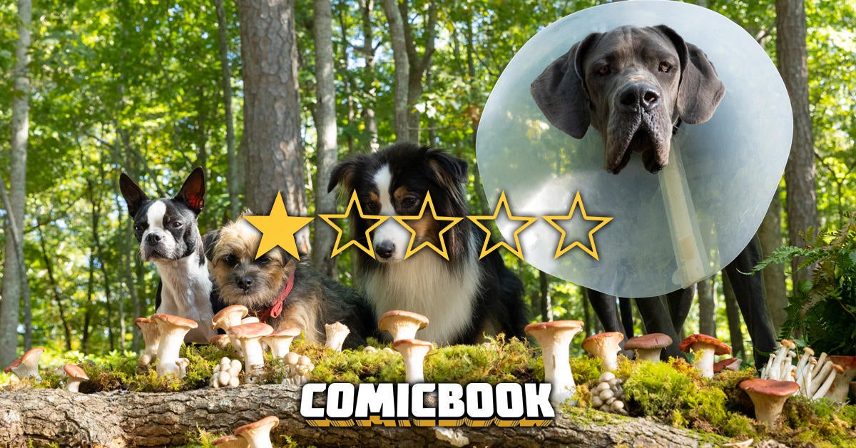 strays-movie-dogs-review-stars.jpg