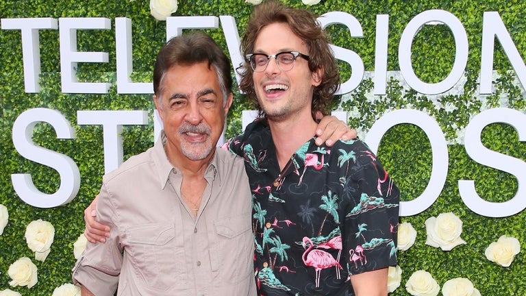 'Criminal Minds' Stars Joe Mantegna and Matthew Gray Gubler Reunite in Joyous Photo