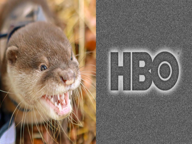 HBO Actress Attacked by Otters, Hospitalized