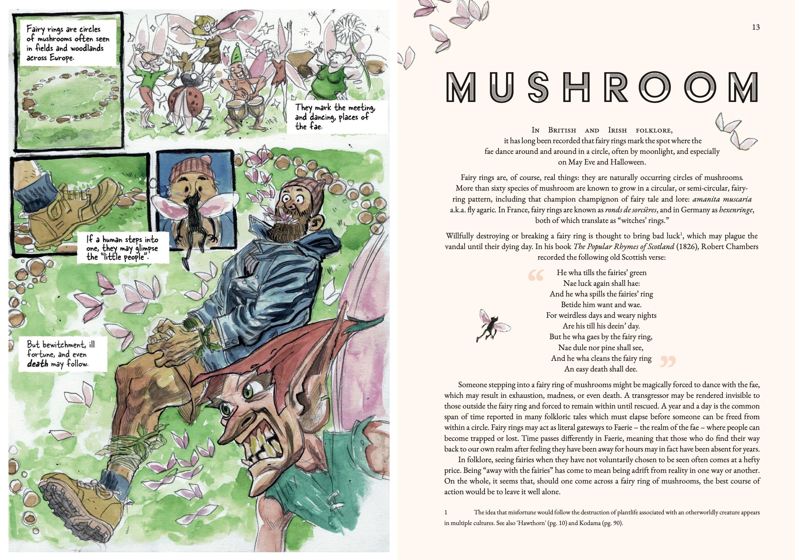 fascinating-folklore-exclusive-spread-5-mushroom.jpg