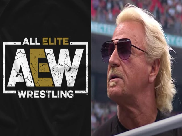 TV Sitcom Star Crashes AEW All In, Hits Jeff Jarrett With Guitar