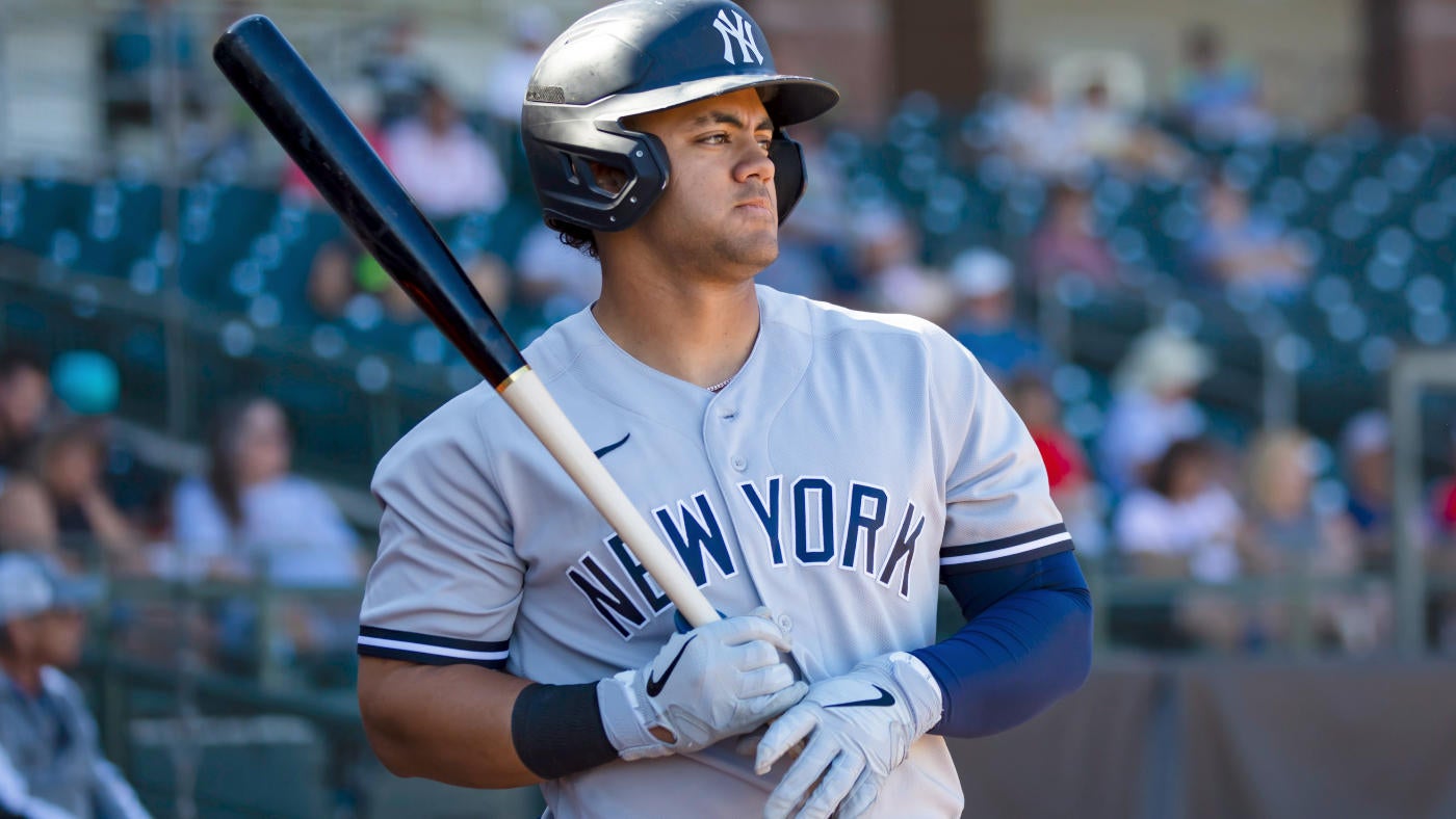 jasson-dominguez.jpg