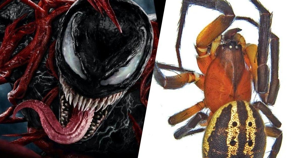 venom-spider-man-new-discovery